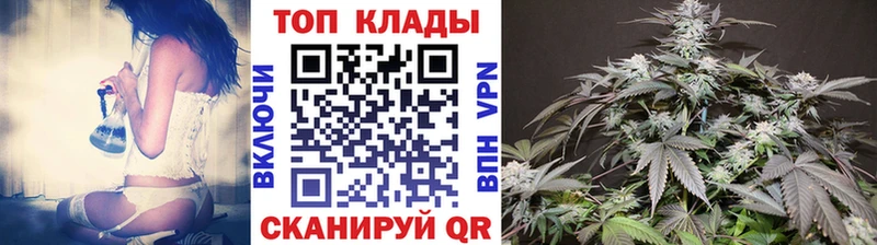 ГАШ Курчалой